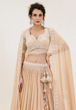 Load image into Gallery viewer, Beige Georgette Lehenga Choli
