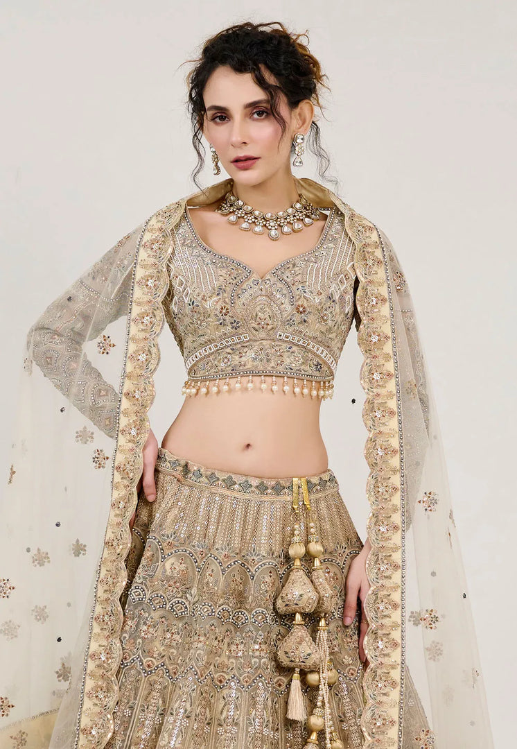 Beige Net Circular Lehenga Choli