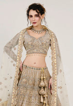 Load image into Gallery viewer, Beige Net Circular Lehenga Choli
