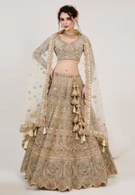 Load image into Gallery viewer, Beige Net Circular Lehenga Choli
