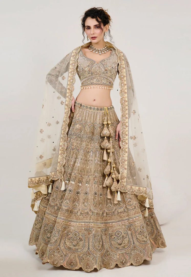 Beige Net Circular Lehenga Choli