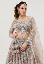 Load image into Gallery viewer, Brown Net Lehenga Choli For Wedding
