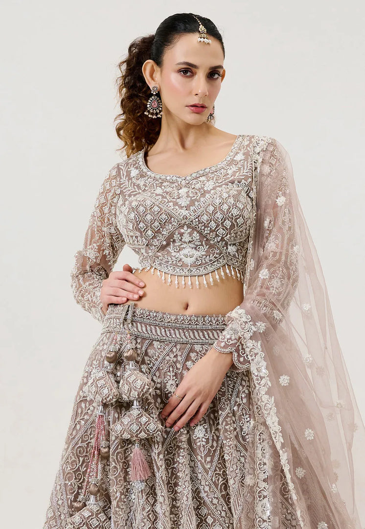 Brown Net Lehenga Choli For Wedding