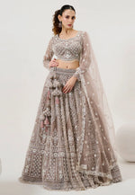 Load image into Gallery viewer, Brown Net Lehenga Choli For Wedding
