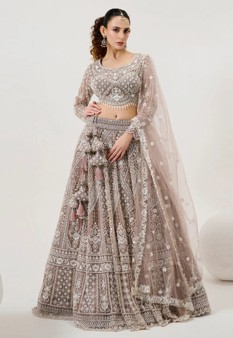 Brown Net Lehenga Choli For Wedding