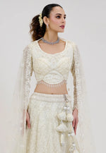 Load image into Gallery viewer, Cream Net Circular Lehenga Choli
