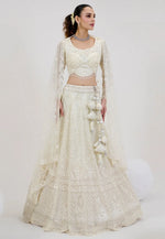 Load image into Gallery viewer, Cream Net Circular Lehenga Choli
