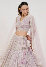 Load image into Gallery viewer, Lavender Net Lehenga Choli
