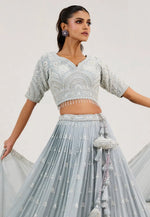 Load image into Gallery viewer, Sky Blue Georgette Circular Lehenga Choli
